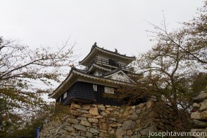JapanDay2Wm-37